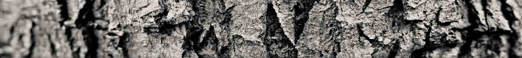 solid and secure natural tree bark